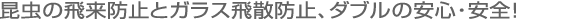 昆虫の飛来防止とガラス 飛散防止、ダブルの安心・安全！